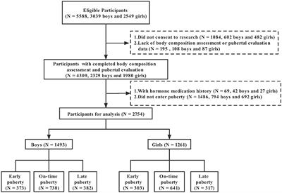 Association of body composition with pubertal timing in children and adolescents from Guangzhou, China